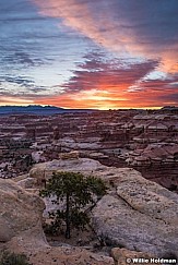 Dollhouse Canyonalnds Sunrise 040317 2716