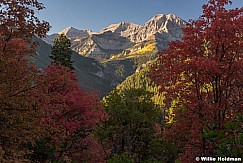 Red Maples Timpanogos 091916 2 1