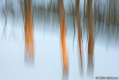 Aspenabstract120310 36