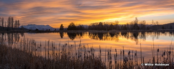 Chidister Pond Reflection 041518 3412
