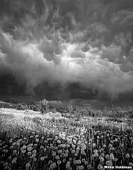 111030000110BW