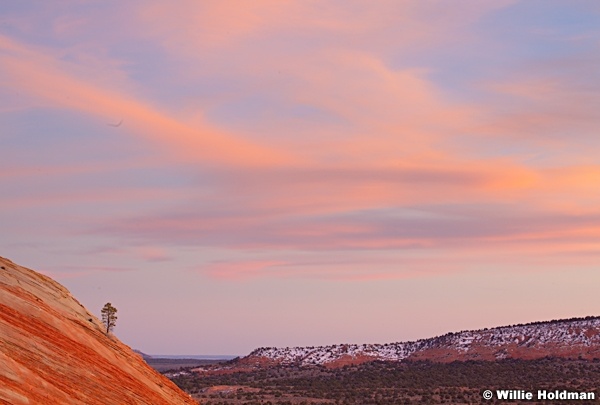 Lone Tree Sunset 032012 205
