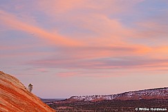 Lone Tree Sunset 032012 205