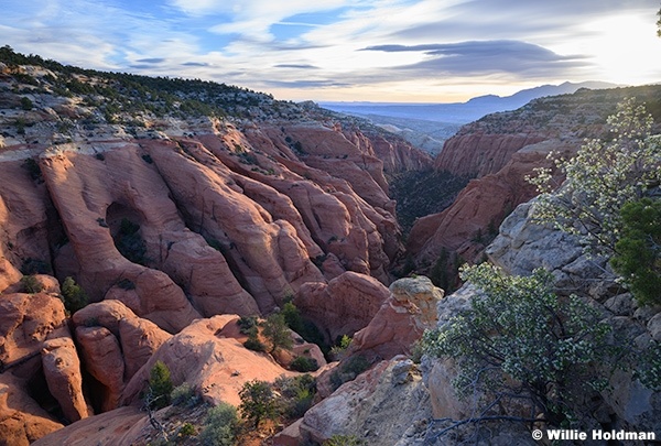 Red Rock Layers Waterpocket Fold 041226 3056