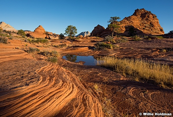 Red Sunset Zion 110215 2538