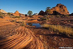 Red Sunset Zion 110215 2538