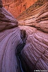Matkatambia Grand Canyon 040714 4363