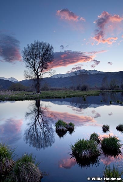 Riverbottomreflections050411 234