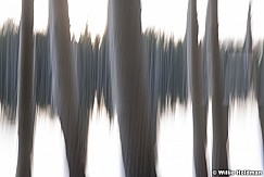 Aspen Lake Abstract 060518 9500