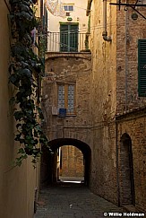Siena092409 500