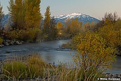 DSC 3930