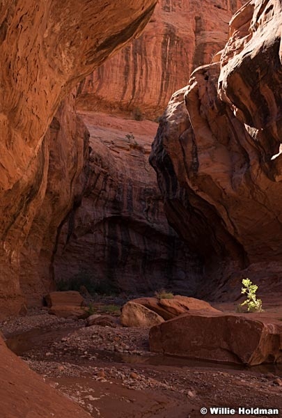 Escalante Slot Canyon 06516 1153
