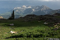Timpanogos Raking Light 063022 0647