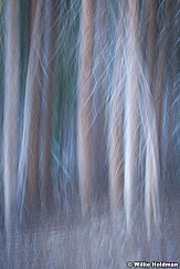 Abstractimpressions101510 6066