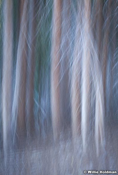Abstractimpressions101510 6066