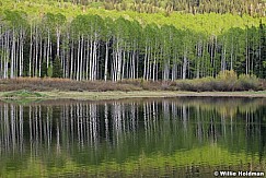 Aspens Reflection 062519 6167