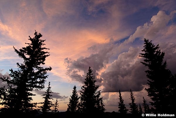 Sunsetskypines080210 1354