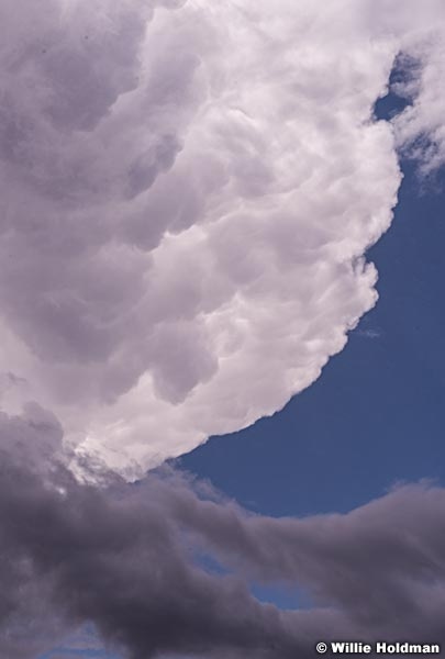 Billowing Cloud 052315 2071