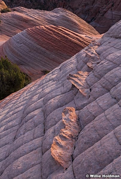 Sandstone intrusion 041419 2898