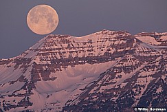 Full Moon Timp 050720 2018