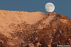 Timpanogos Orem 100911 245