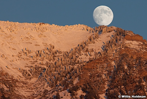 Timpanogos Orem 100911 245