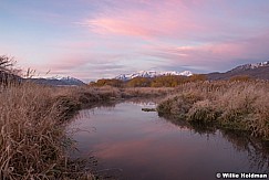 River bottoms Timpanogos Sunrise 103021 1131 0953