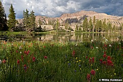 Uinta Wildflowers Lake 072117 4119 3 2