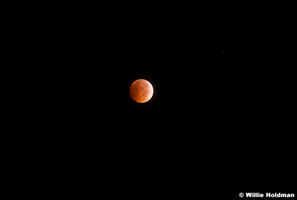 Red Moon Eclipse 100714 1267