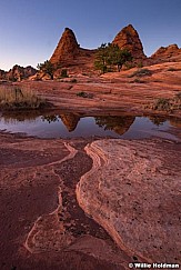 Zion Reflection 111215 2760