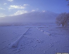 158020002106