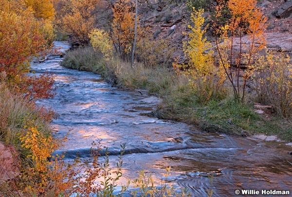 Calf Creek Foilage 102418 4129 2 2