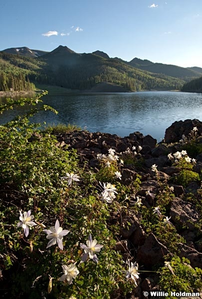 tusharbluelakecolumbineday