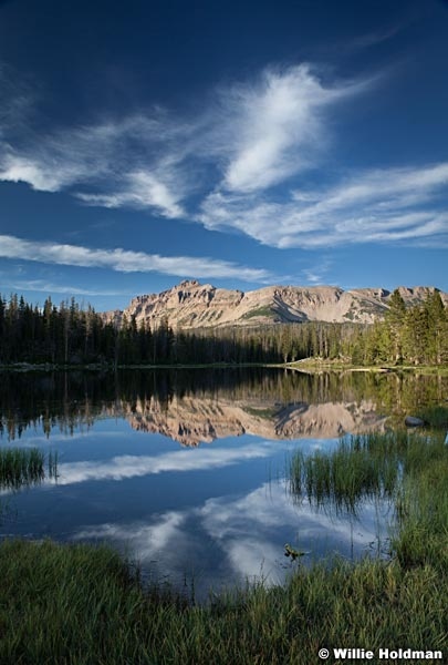 Hayden Uinta Mountains 072613 8921