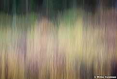 Abstractimpressions101510 6127