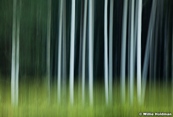 Aspen Abstract 080713 1294