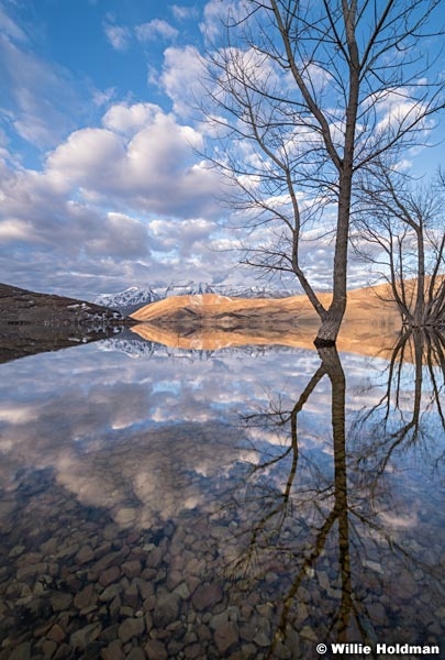 Deer Creek Reflection 031218 5284