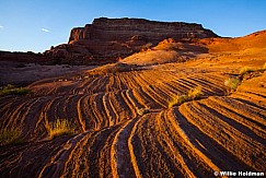Powell Sandstone 081213 8063