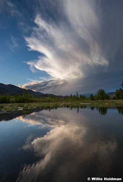 Reflection Pond Heber 052117