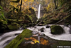 Latourell Falls 110514 6935 4