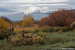 Dusting On Peak Autumn Colors 102421 8718