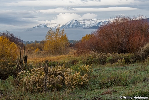 Dusting On Peak Autumn Colors 102421 8718