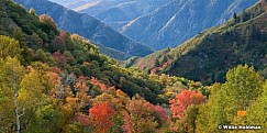 Lonepineview092211