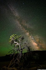 Milky Way Teasdale Plateau 071126 4973