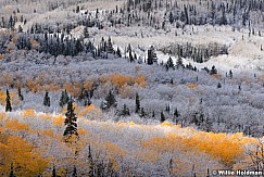 Boulder mountain dusting 40x24 101212