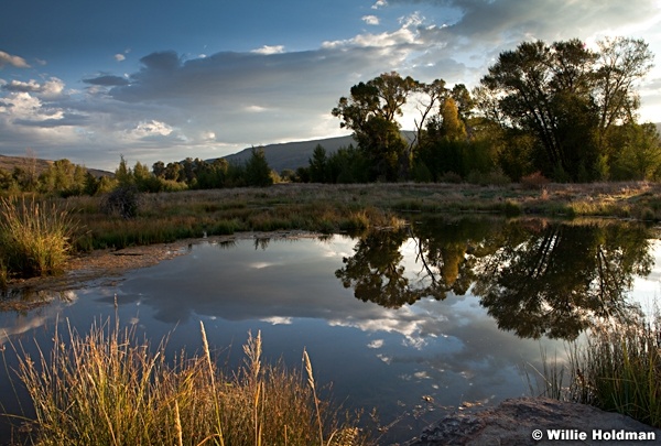 Midway Pond Summer 082712 14
