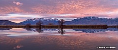 Timpanogos Purple Reflection 1122170947