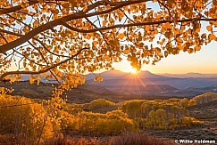 Boulder Mountain Aspen Sunrise 101922 3006