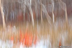 Abstractimpressions101510 7012