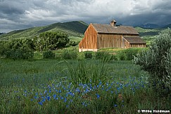 Tate Barn Blue Flax 062023 4079